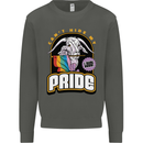Can't Hide My Pride LGBT Gay Awareness Kids Sweatshirt Jumper Storm Grey