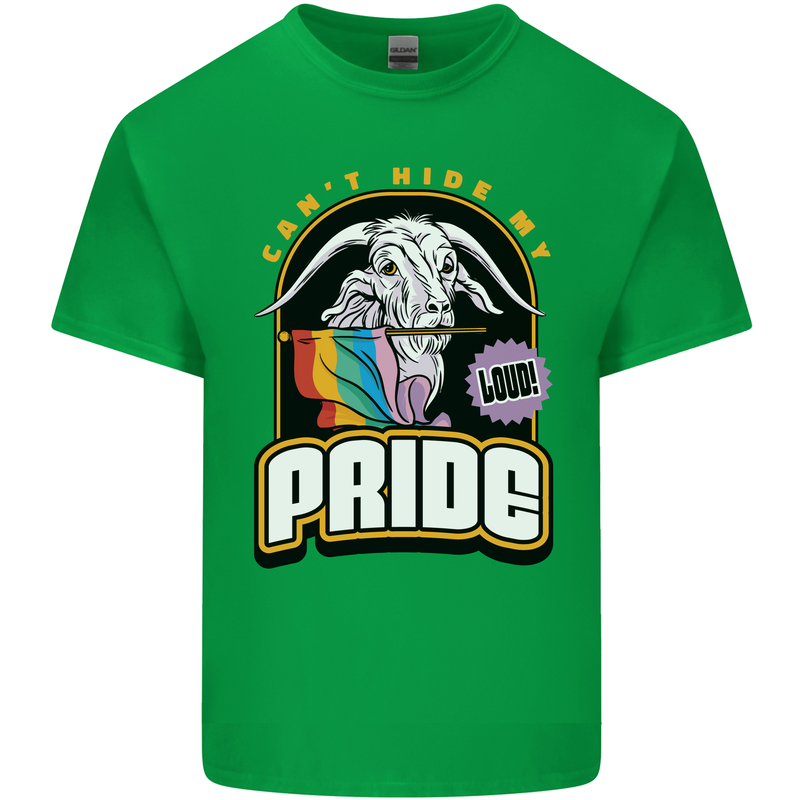 Can't Hide My Pride LGBT Gay Awareness Kids T-Shirt Childrens Irish Green