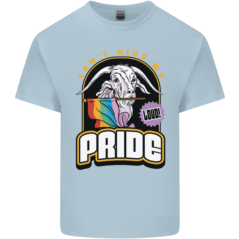 Can't Hide My Pride LGBT Gay Awareness Kids T-Shirt Childrens Light Blue
