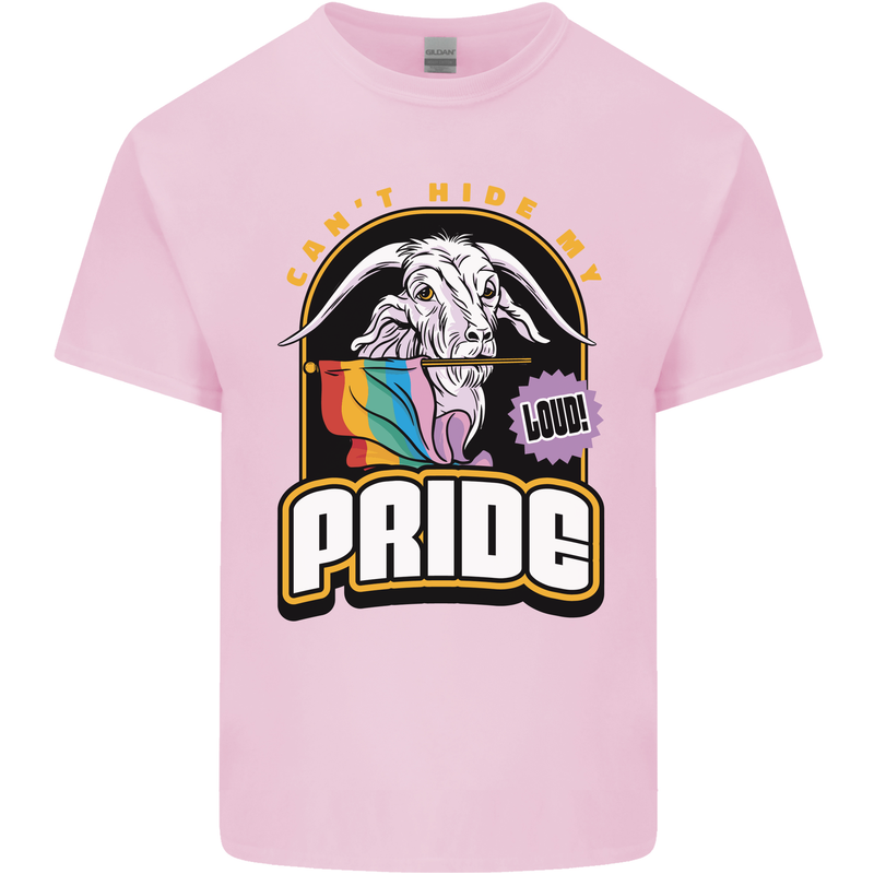 Can't Hide My Pride LGBT Gay Awareness Kids T-Shirt Childrens Light Pink