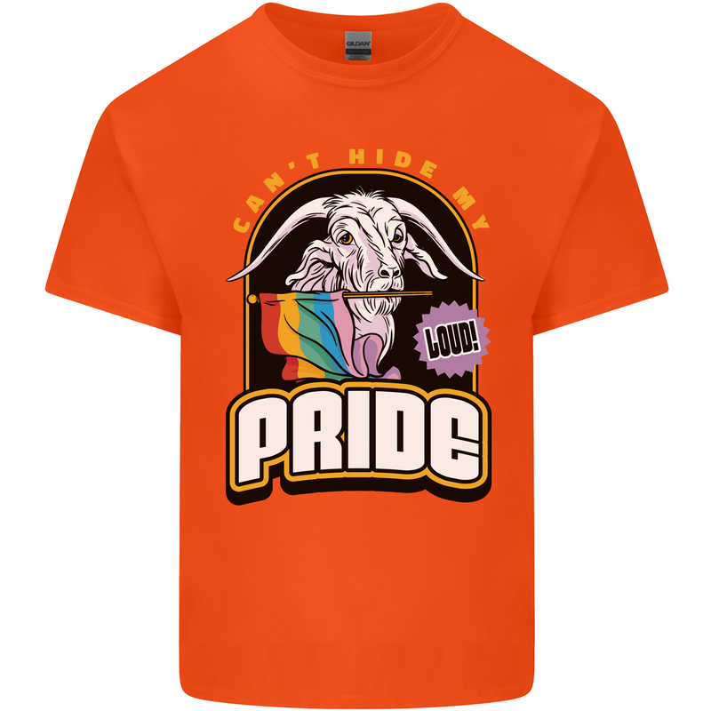 Can't Hide My Pride LGBT Gay Awareness Kids T-Shirt Childrens Orange