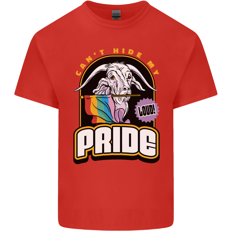 Can't Hide My Pride LGBT Gay Awareness Kids T-Shirt Childrens Red