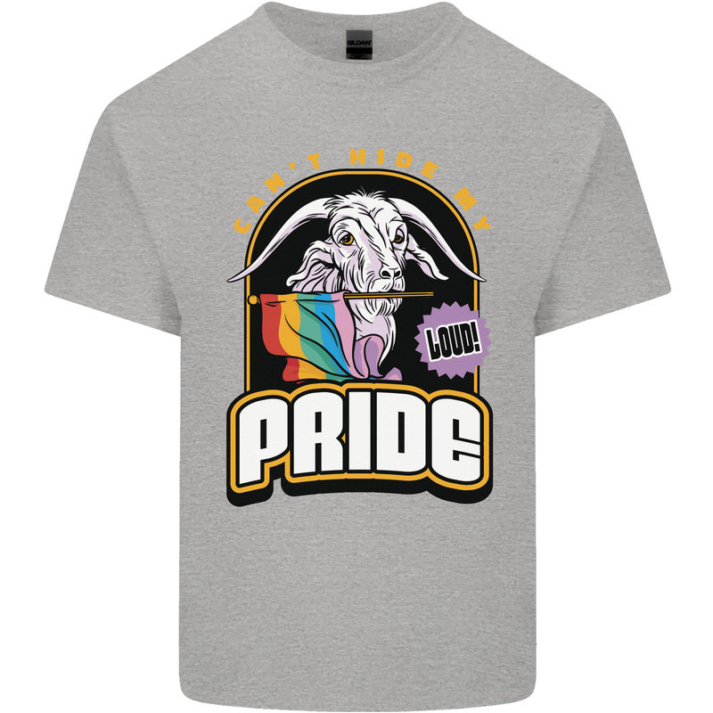 Can't Hide My Pride LGBT Gay Awareness Kids T-Shirt Childrens Sports Grey