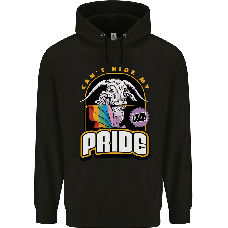 Can't Hide My Pride LGBT Gay Awareness Mens 80% Cotton Hoodie Black