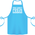 Can't Scare Me Grandkids Grandparent's Day Cotton Apron 100% Organic Turquoise