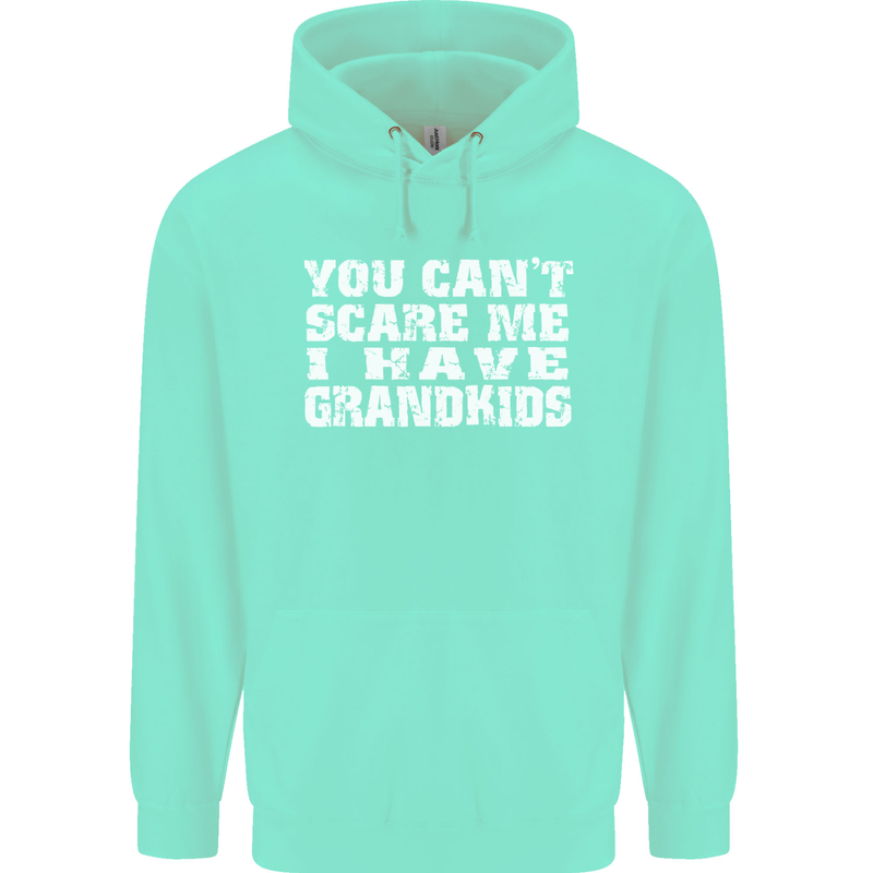 Can't Scare Me Grandkids Grandparent's Day Mens 80% Cotton Hoodie Peppermint