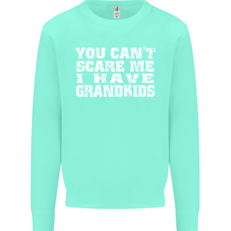 Can't Scare Me Grandkids Grandparent's Day Mens Sweatshirt Jumper Peppermint