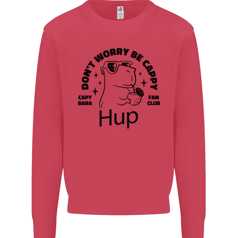 Capybara Be Cappy Funny Kids Sweatshirt Jumper Heliconia