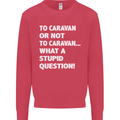 Caranan or Not to? What a Stupid Question Kids Sweatshirt Jumper Heliconia