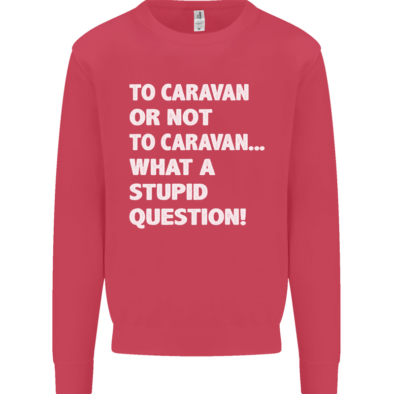 Caranan or Not to? What a Stupid Question Kids Sweatshirt Jumper Heliconia
