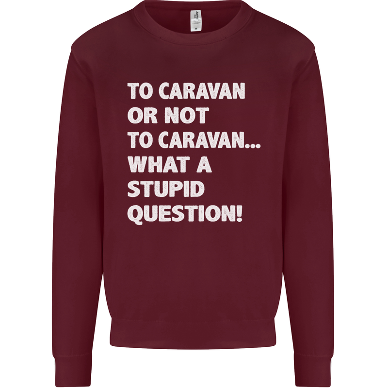 Caranan or Not to? What a Stupid Question Kids Sweatshirt Jumper Maroon