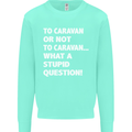 Caranan or Not to? What a Stupid Question Kids Sweatshirt Jumper Peppermint