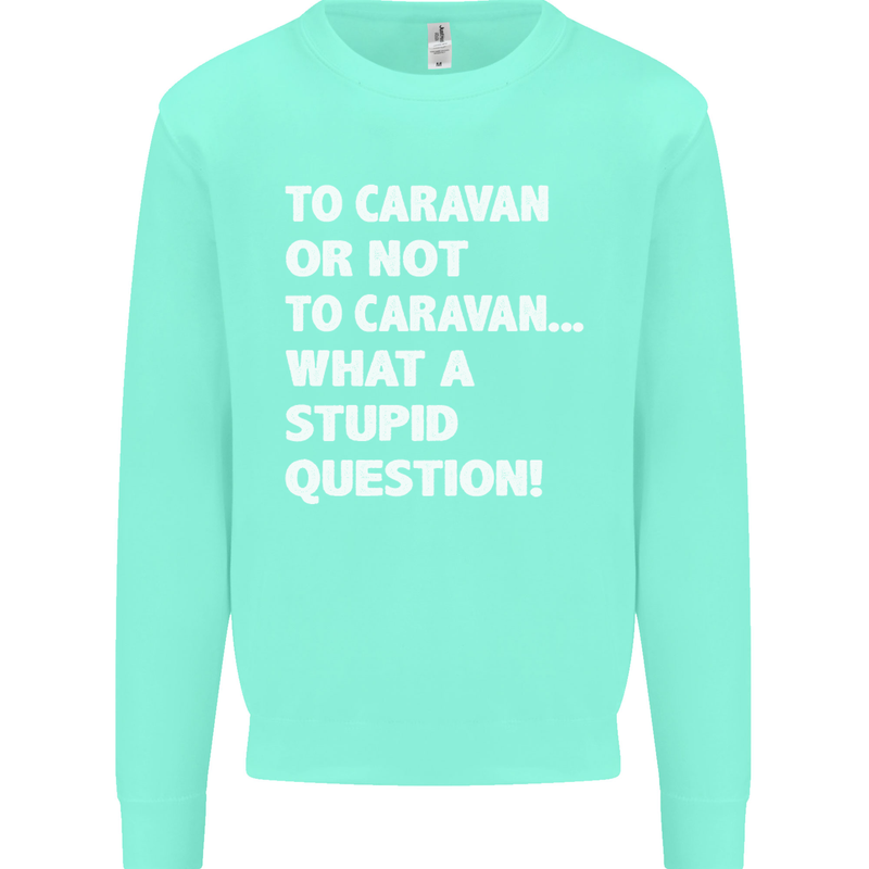 Caranan or Not to? What a Stupid Question Kids Sweatshirt Jumper Peppermint
