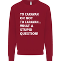 Caranan or Not to? What a Stupid Question Kids Sweatshirt Jumper Red