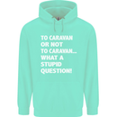 Caranan or Not to? What a Stupid Question Mens 80% Cotton Hoodie Peppermint