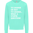 Caranan or Not to? What a Stupid Question Mens Sweatshirt Jumper Peppermint