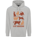 Cat Breeds Childrens Kids Hoodie Sports Grey