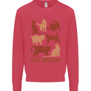 Cat Breeds Kids Sweatshirt Jumper Heliconia