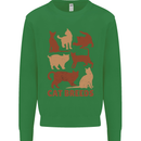 Cat Breeds Kids Sweatshirt Jumper Irish Green