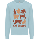 Cat Breeds Kids Sweatshirt Jumper Light Blue