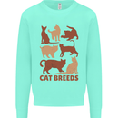 Cat Breeds Kids Sweatshirt Jumper Peppermint