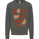 Cat Breeds Kids Sweatshirt Jumper Storm Grey