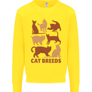 Cat Breeds Kids Sweatshirt Jumper Yellow