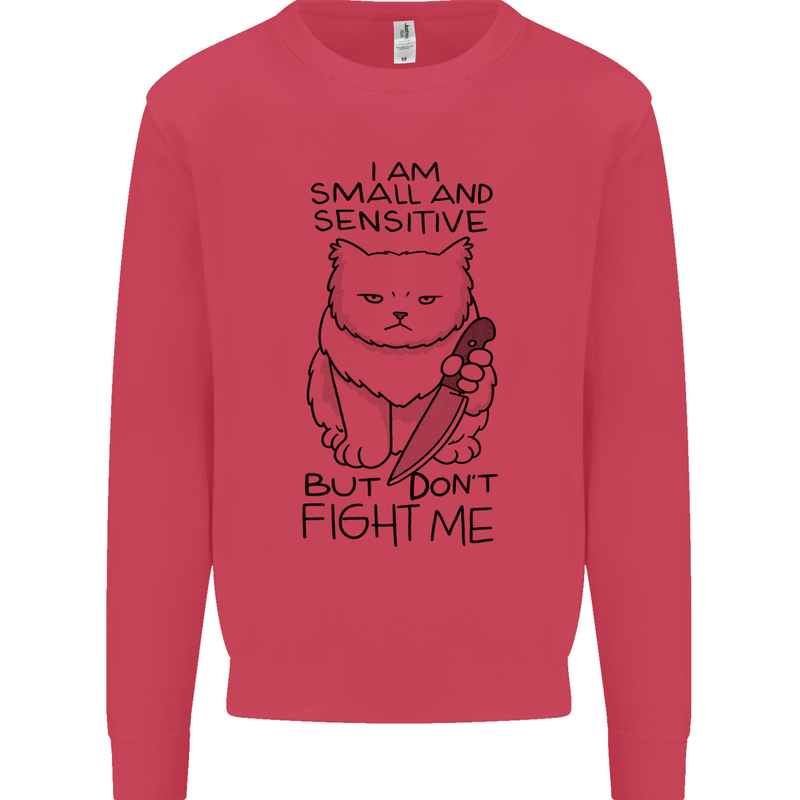 Cat Dont Fight Me Funny Kids Sweatshirt Jumper Heliconia