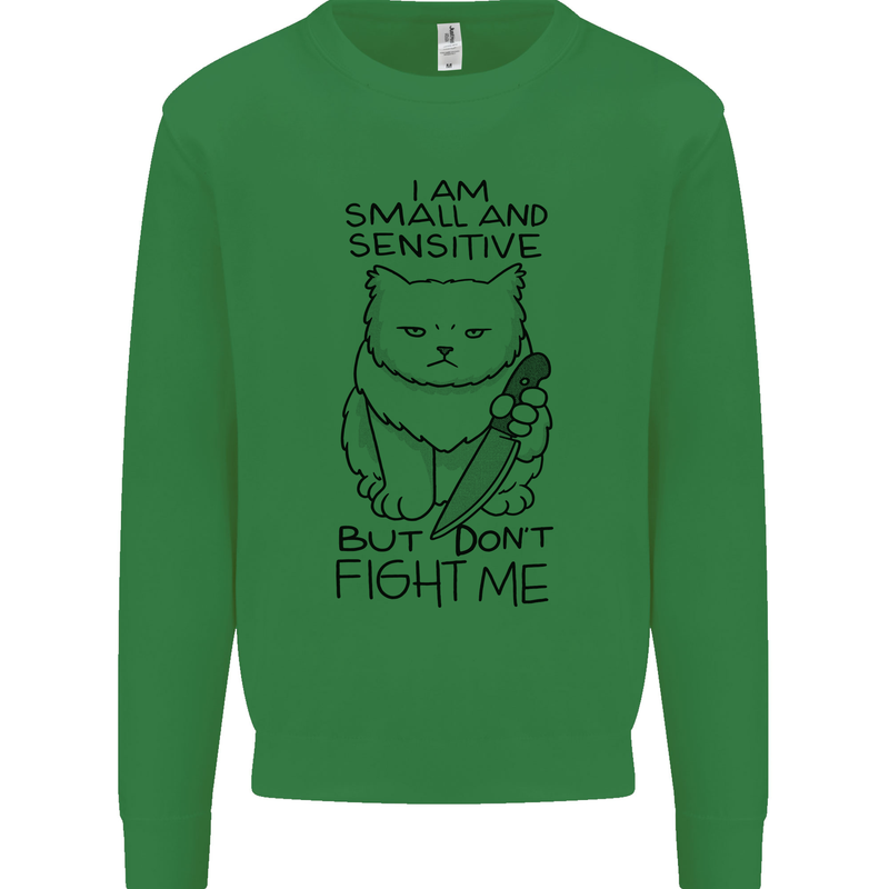 Cat Dont Fight Me Funny Kids Sweatshirt Jumper Irish Green