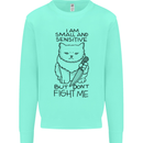Cat Dont Fight Me Funny Kids Sweatshirt Jumper Peppermint