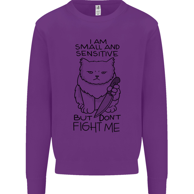 Cat Dont Fight Me Funny Kids Sweatshirt Jumper Purple
