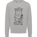 Cat Dont Fight Me Funny Kids Sweatshirt Jumper Sports Grey