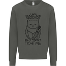 Cat Dont Fight Me Funny Kids Sweatshirt Jumper Storm Grey