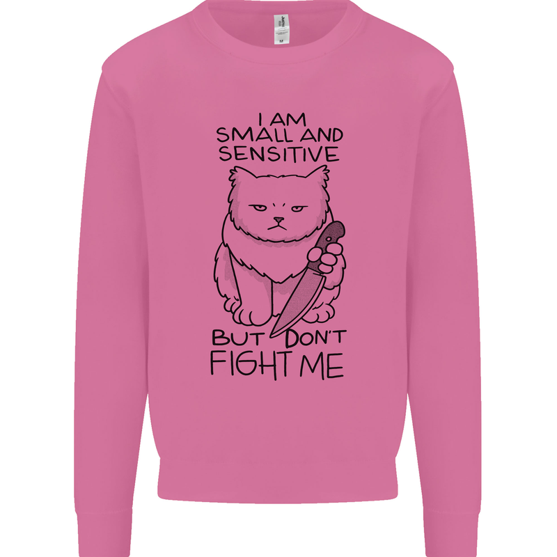 Cat Dont Fight Me Funny Mens Sweatshirt Jumper Azalea