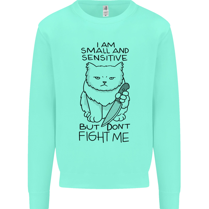 Cat Dont Fight Me Funny Mens Sweatshirt Jumper Peppermint