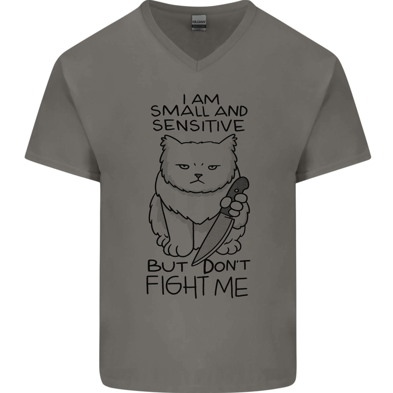 Cat Dont Fight Me Funny Mens V-Neck Cotton T-Shirt Charcoal