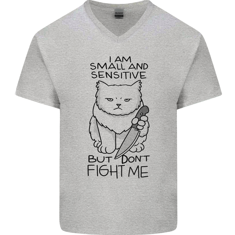 Cat Dont Fight Me Funny Mens V-Neck Cotton T-Shirt Sports Grey