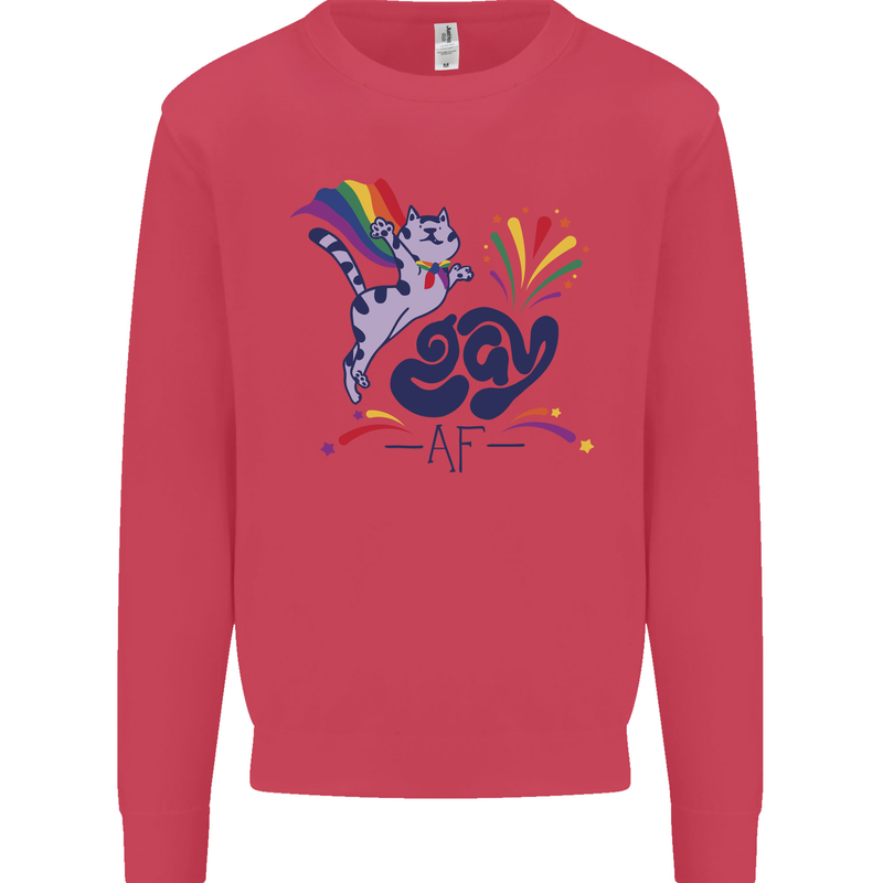Cat Gay AF LGBT Gay Pride Kids Sweatshirt Jumper Heliconia