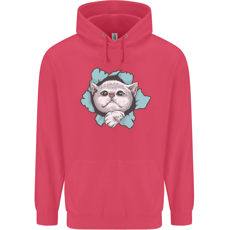 Cat Hole Childrens Kids Hoodie Heliconia
