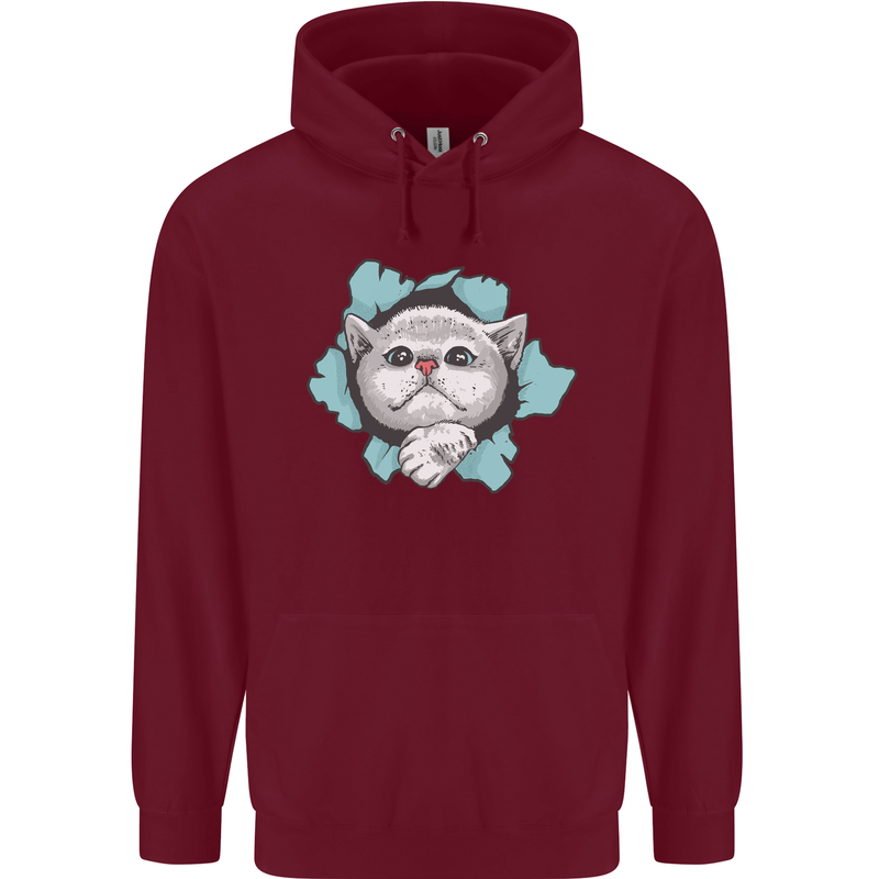 Cat Hole Childrens Kids Hoodie Maroon