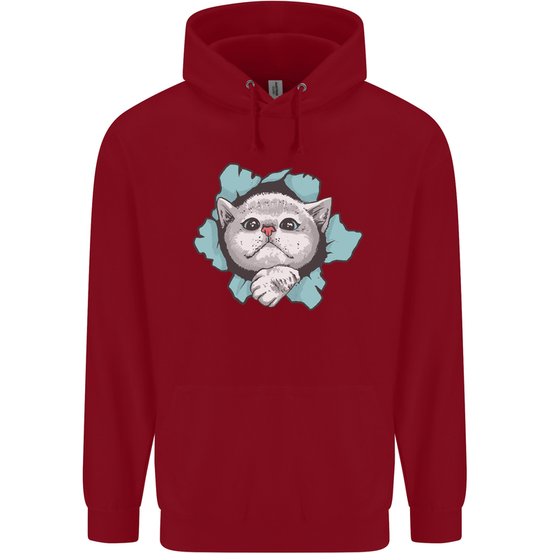 Cat Hole Childrens Kids Hoodie Red