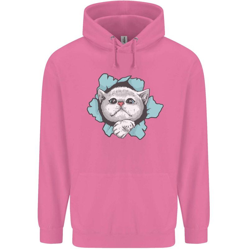 Cat Hole Mens 80% Cotton Hoodie Azelea