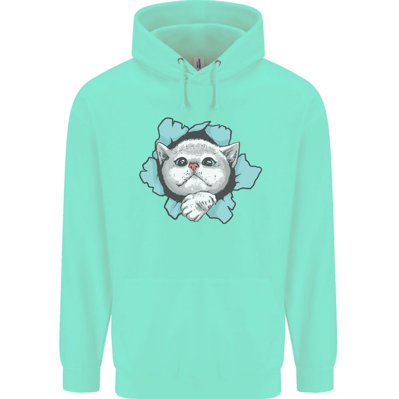 Cat Hole Mens 80% Cotton Hoodie Peppermint