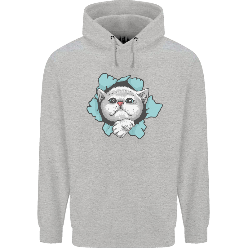 Cat Hole Mens 80% Cotton Hoodie Sports Grey