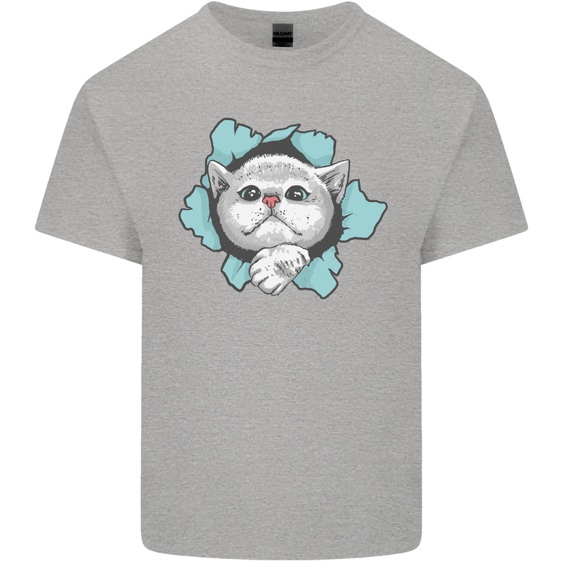 Cat Hole Mens Cotton T-Shirt Tee Top Sports Grey