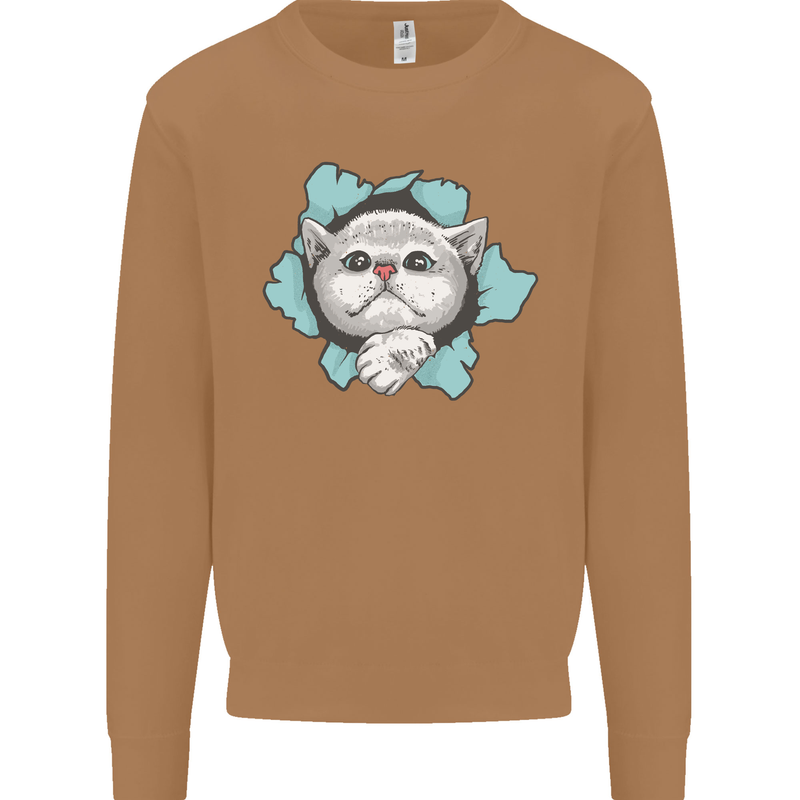 Cat Hole Mens Sweatshirt Jumper Caramel Latte