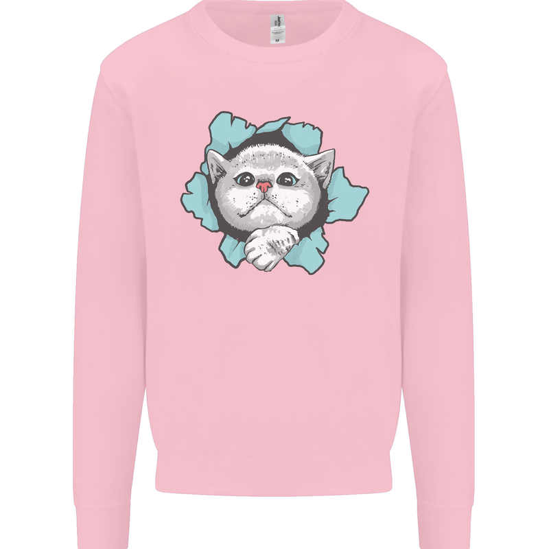 Cat Hole Mens Sweatshirt Jumper Light Pink