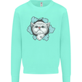 Cat Hole Mens Sweatshirt Jumper Peppermint