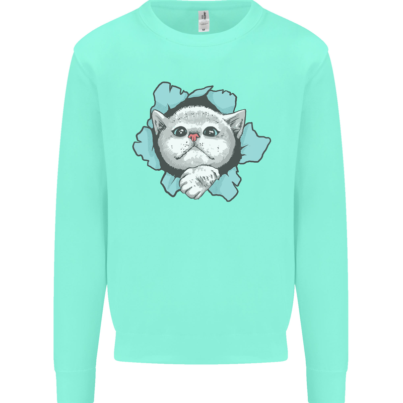 Cat Hole Mens Sweatshirt Jumper Peppermint