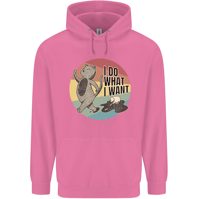 Cat I Do What I Want Funny Coffee Childrens Kids Hoodie Azalea